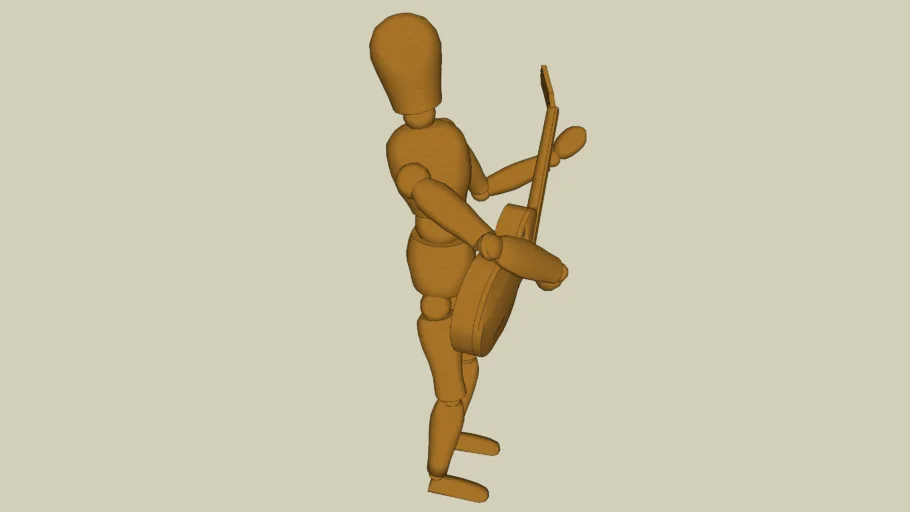 Musician Guitarist
