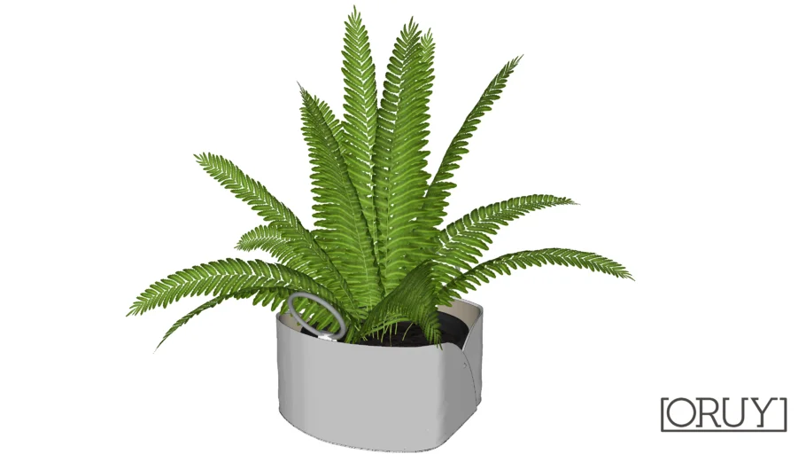 Cachepot Mary Argola PP Oruy Paola Cury cachepot planta plant vaso vegetação