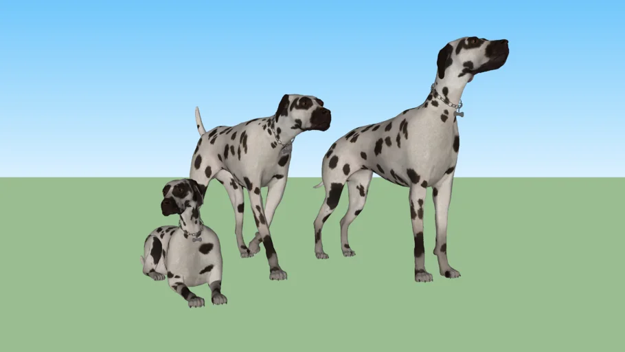 Dalmatian(ดัลเมเชียน)