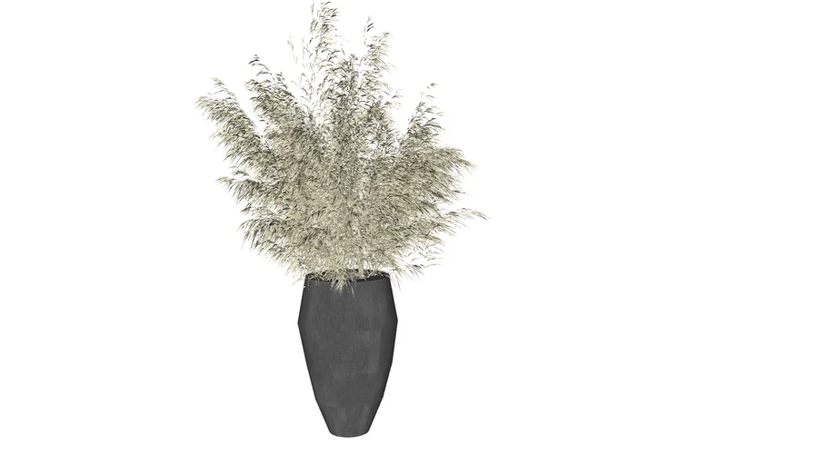 VASE ORNAMENTAL GRASS