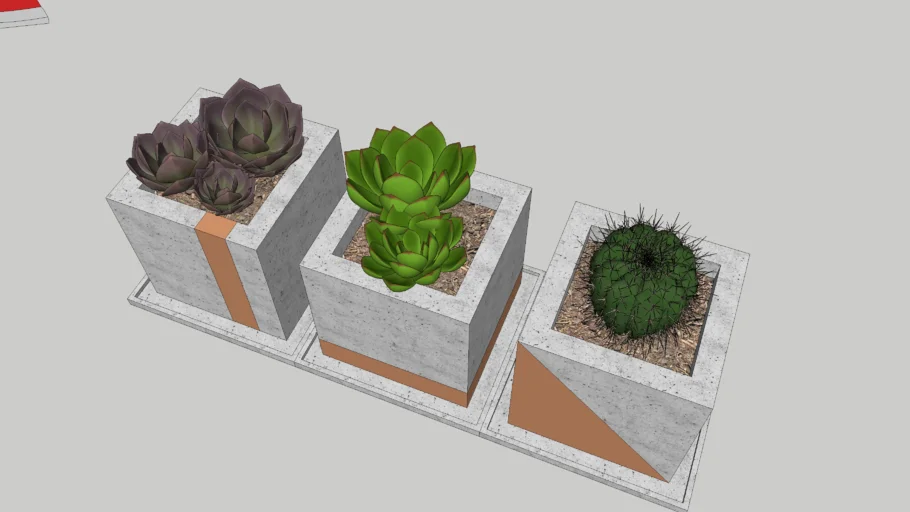 TREE POT - CASTUS