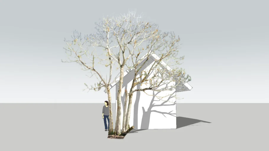 Dry tree