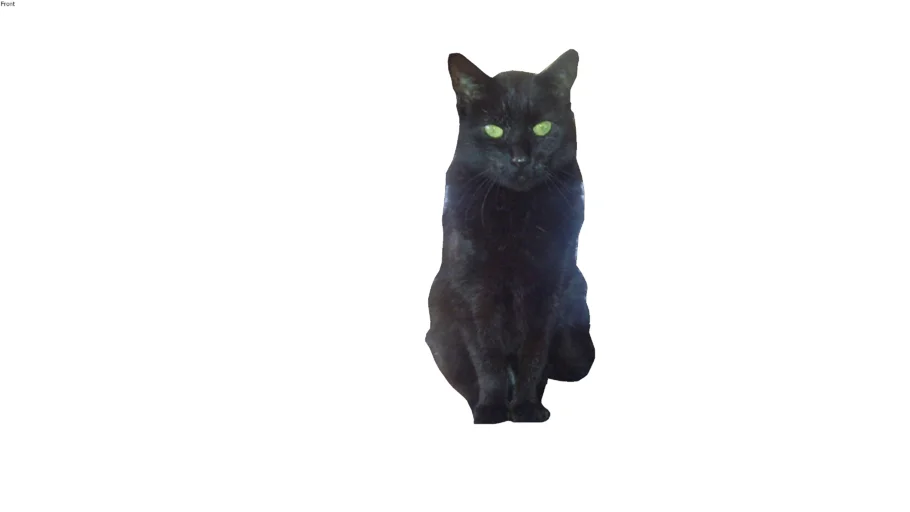 Betty Cat 2D