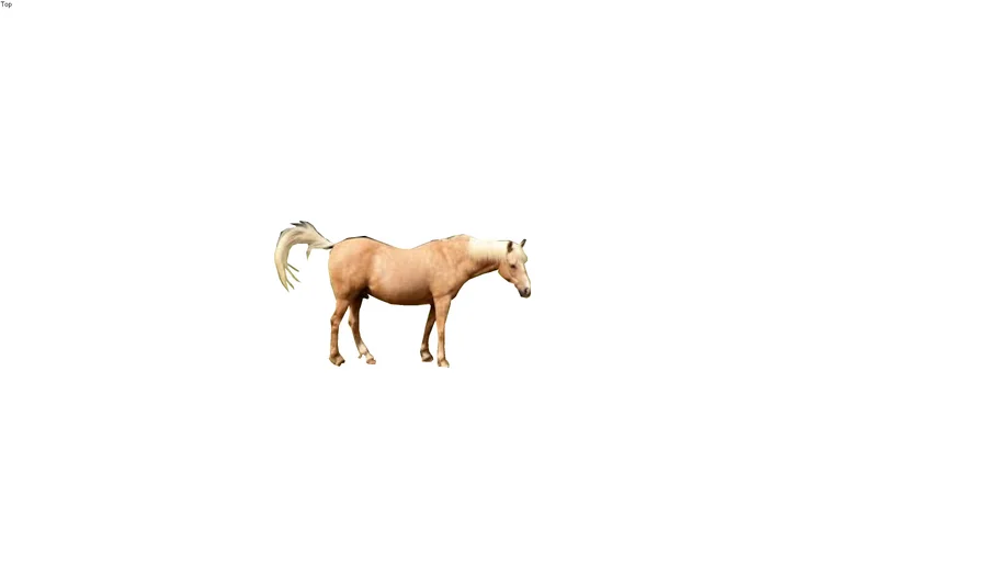 2 d horse