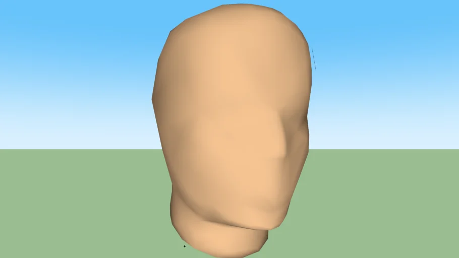 Manequin Head