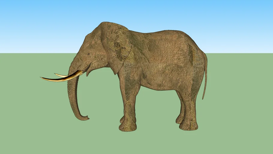 3D Elephant
