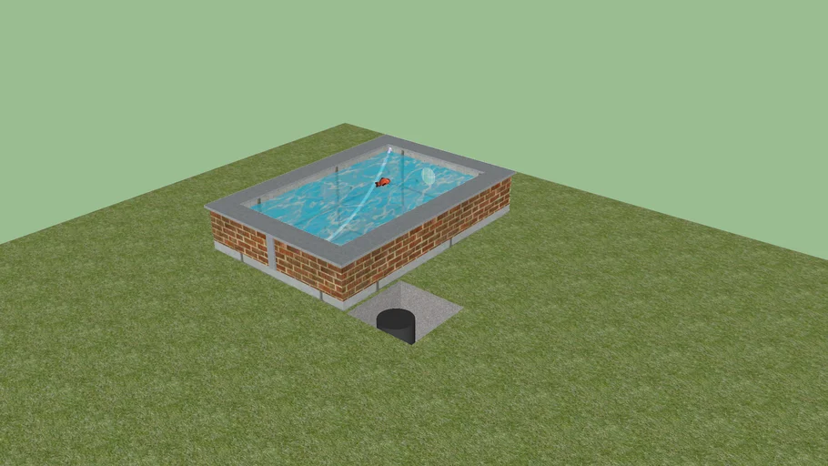 Bassin béton koi poisson fish