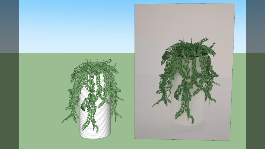 Hanging plant