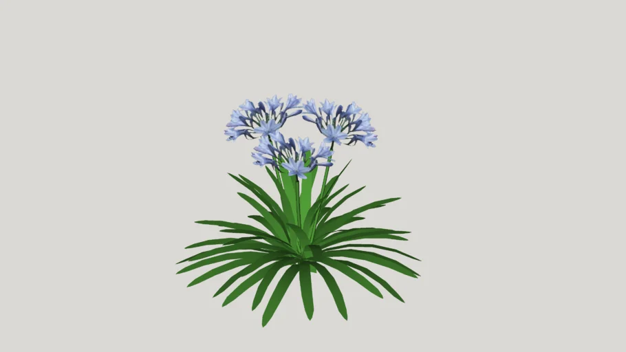 plants