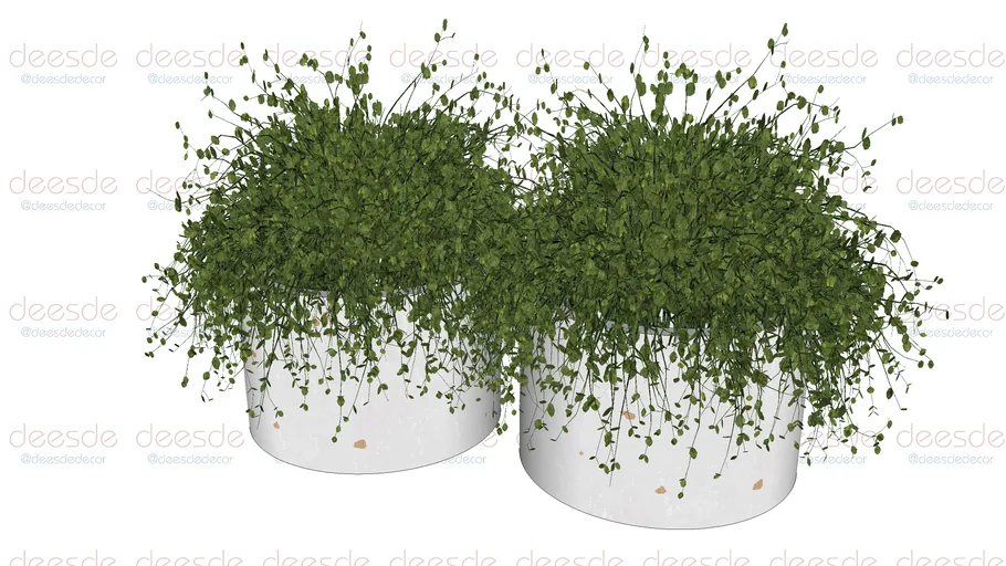 Adorno Vaso - DEESDE DECOR Vaso Muniz Branco Duo Pequeno