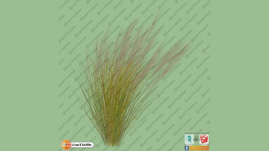 Vegetação Grama