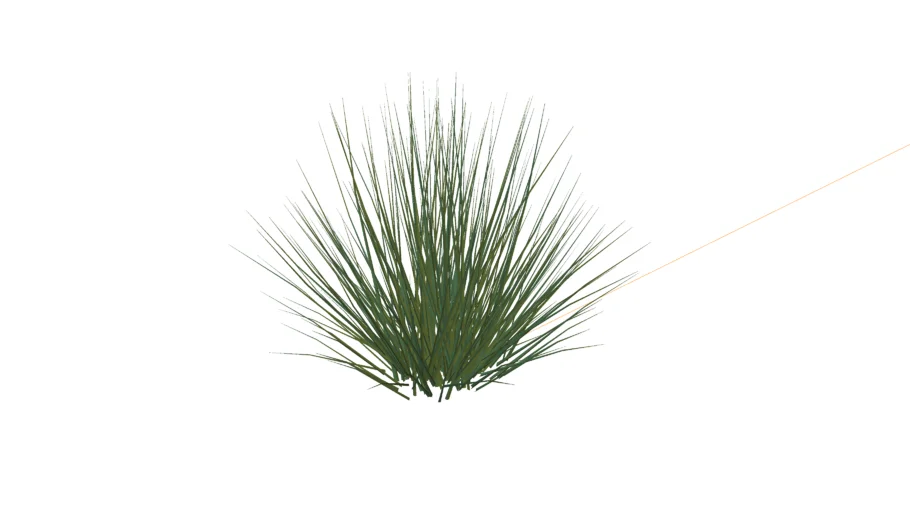 pol gras