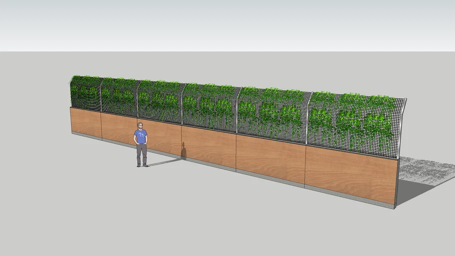 COMPOUND WALL