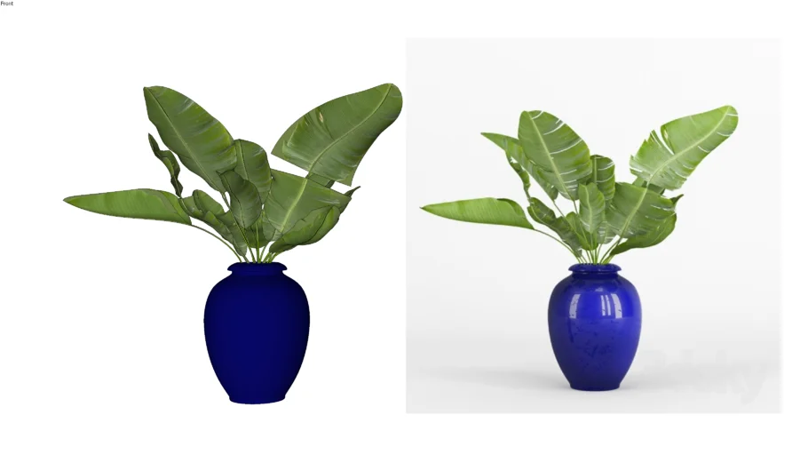 Vaso Azul com Pacova