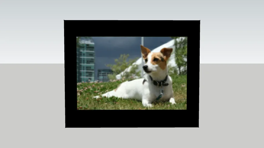 8x10 Digital Picture Frame