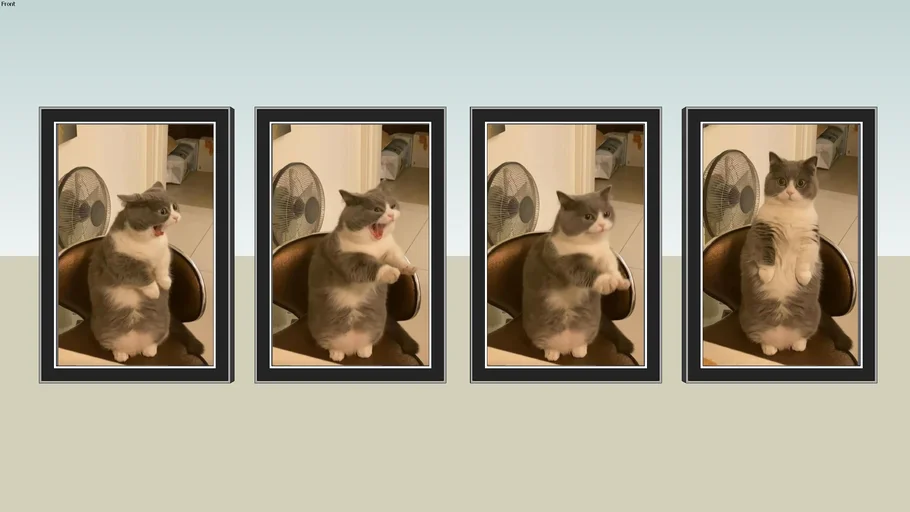 photo frames