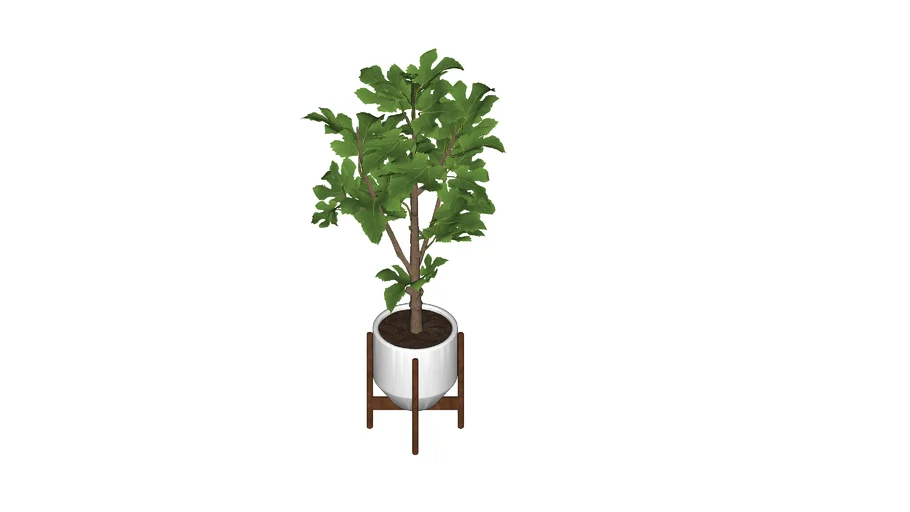 vaso planta 