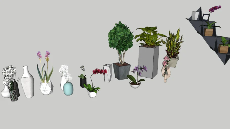 PLANTS VASES