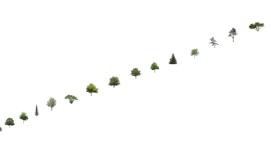 trees png
