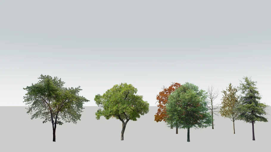 2D trees