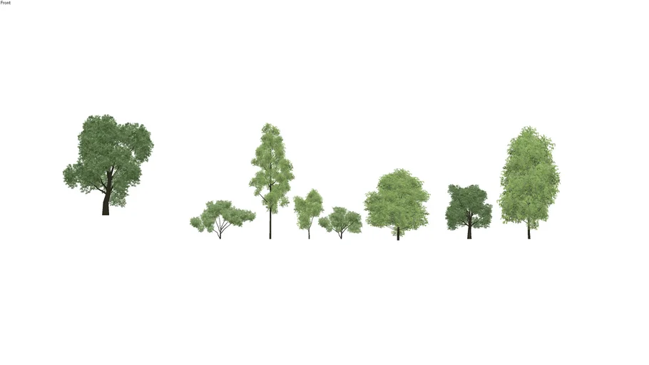 8 Arboles