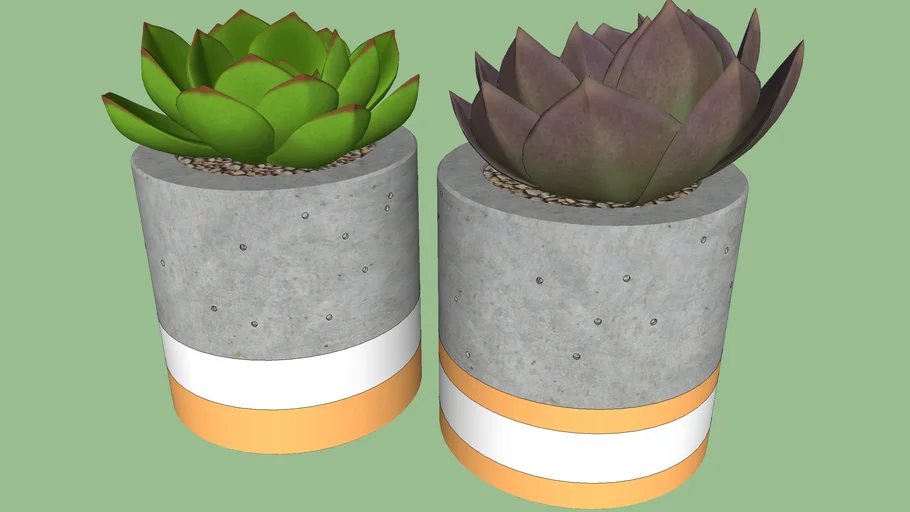Cachepot de concreto com suculentas