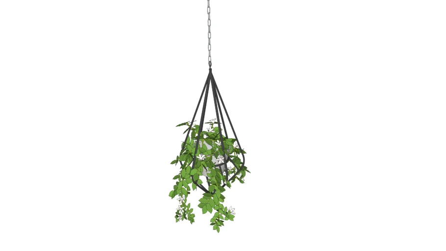 Hanging plant