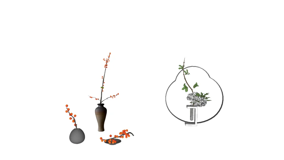 decorative plant