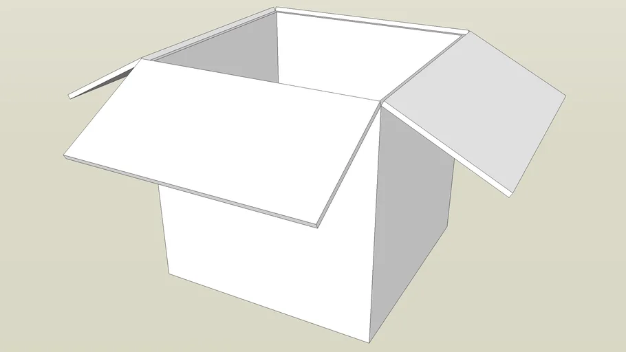 Carboard Box