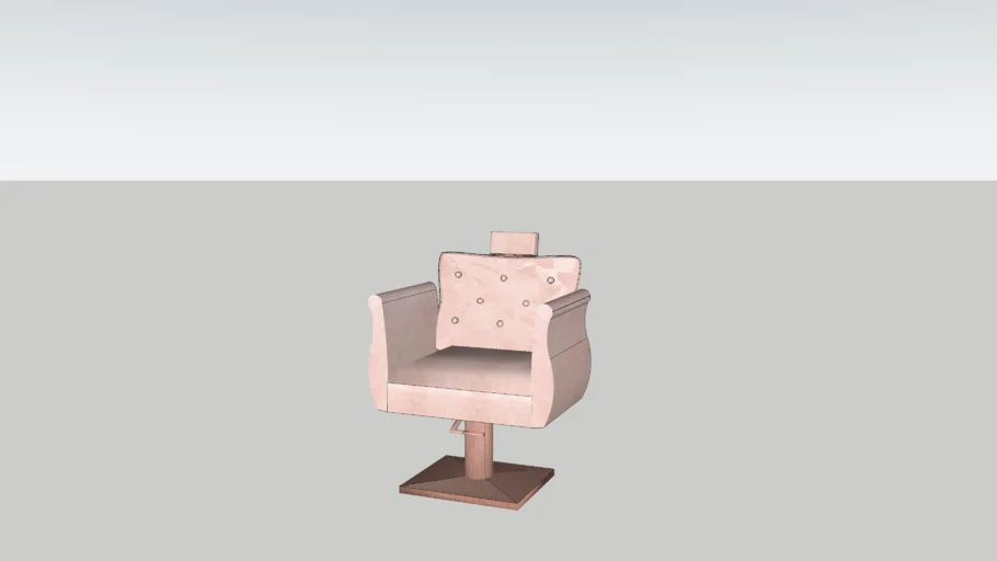 Salon Chair