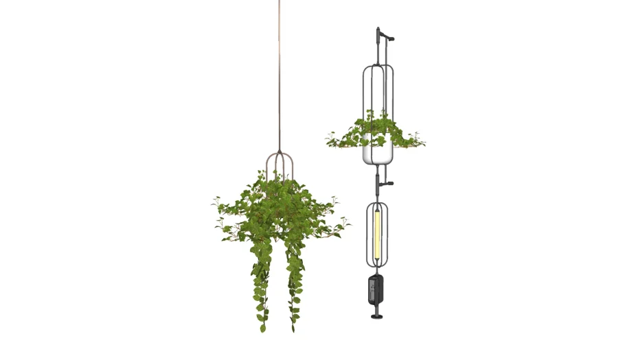 CEILING LIGHT AND POTTED PLANT
