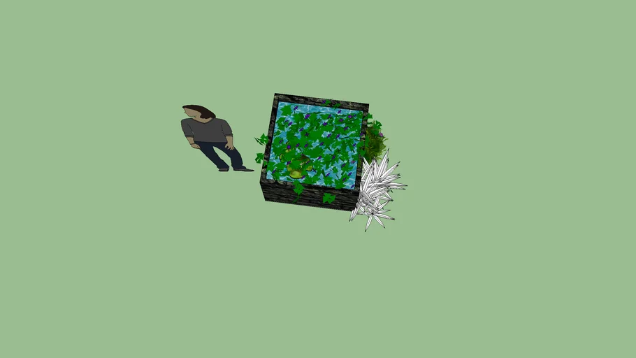 water pond