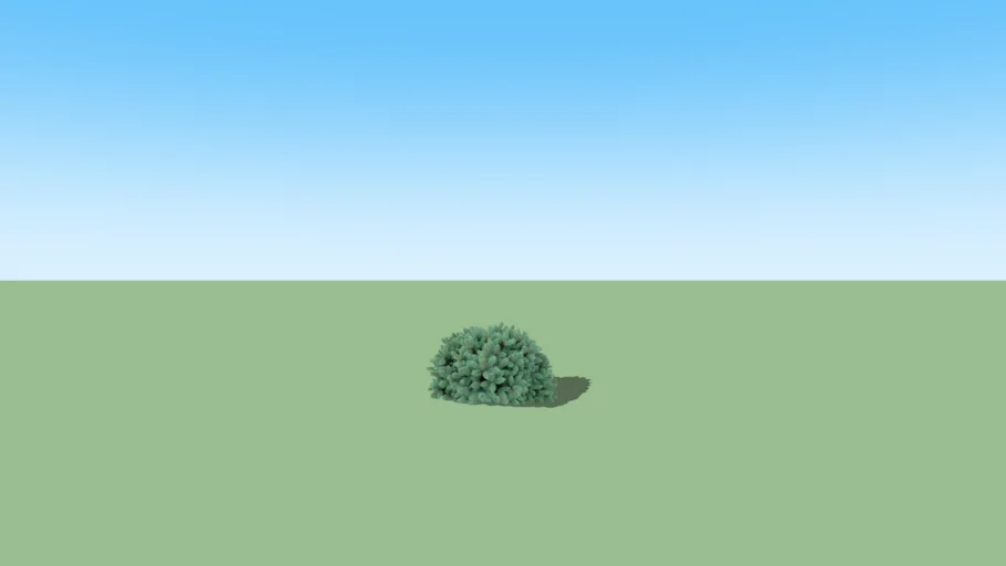 2d Pine Bush mini
