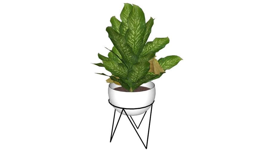 West Elm Iris Planter + Chevron Stand