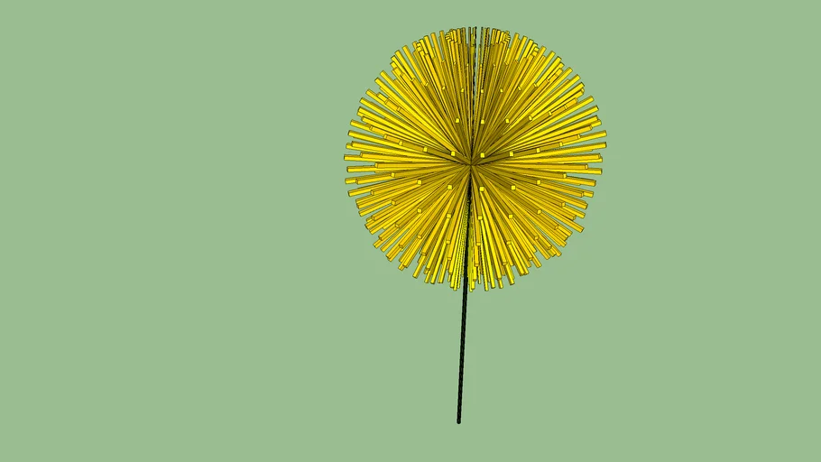 Dandelion