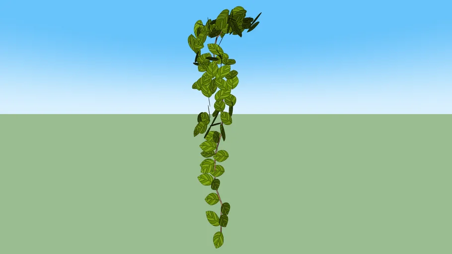 PLANTA TREPADEIRA