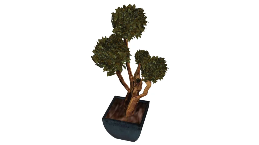 arbre 3D tree 3D
