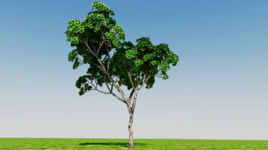 3D real tree