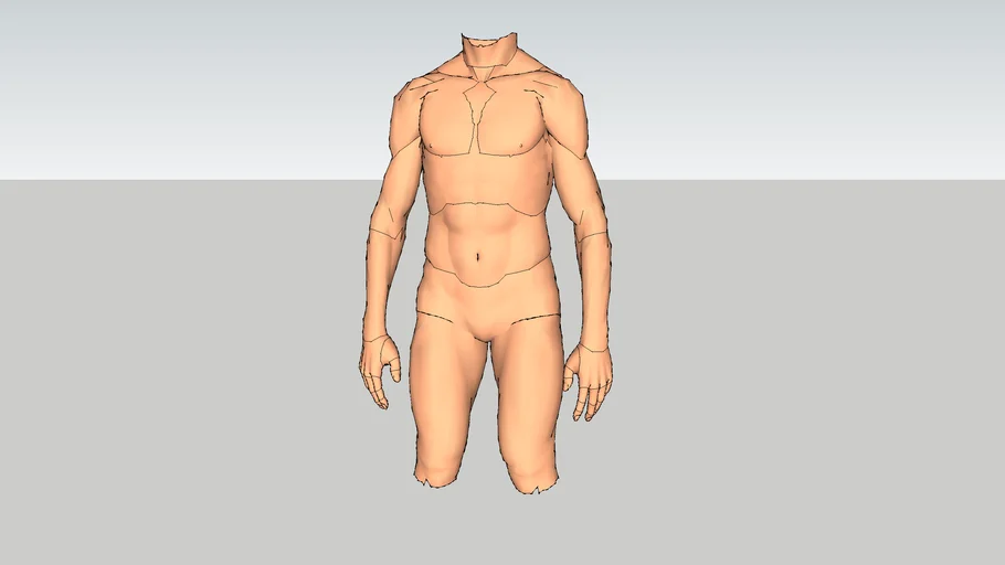 3/4 Torso Manekin