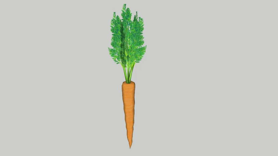 Carrot
