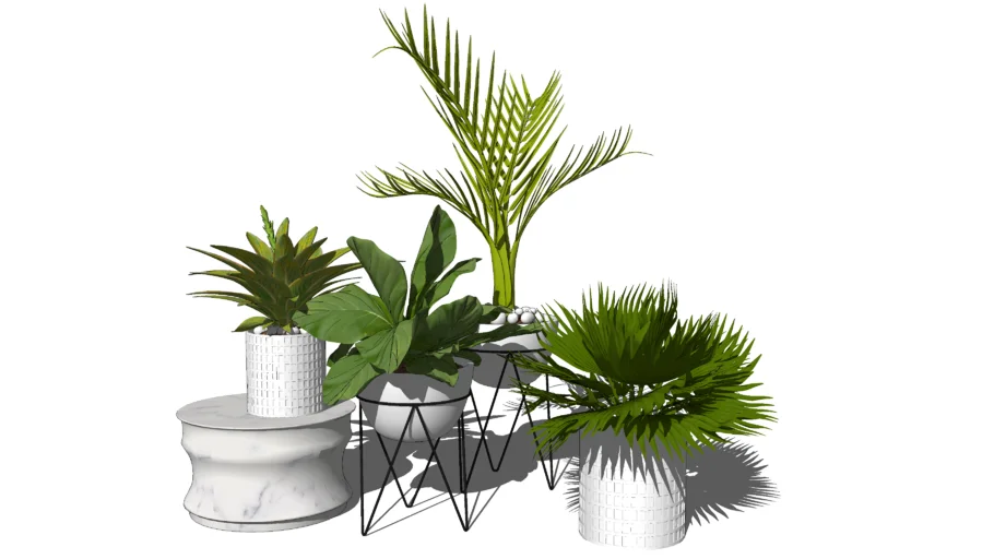 Plant
