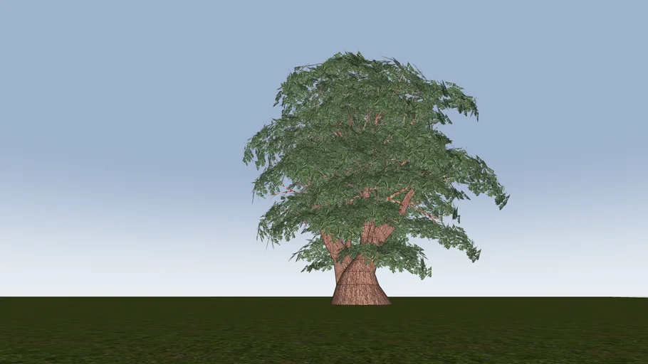 Arbol tronco ventricoso