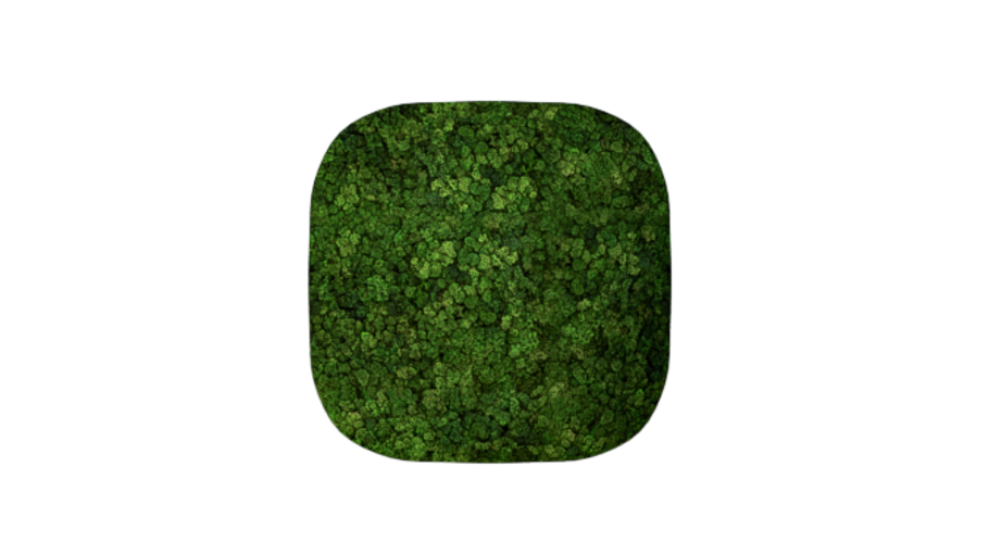 Convex Squricle Medium