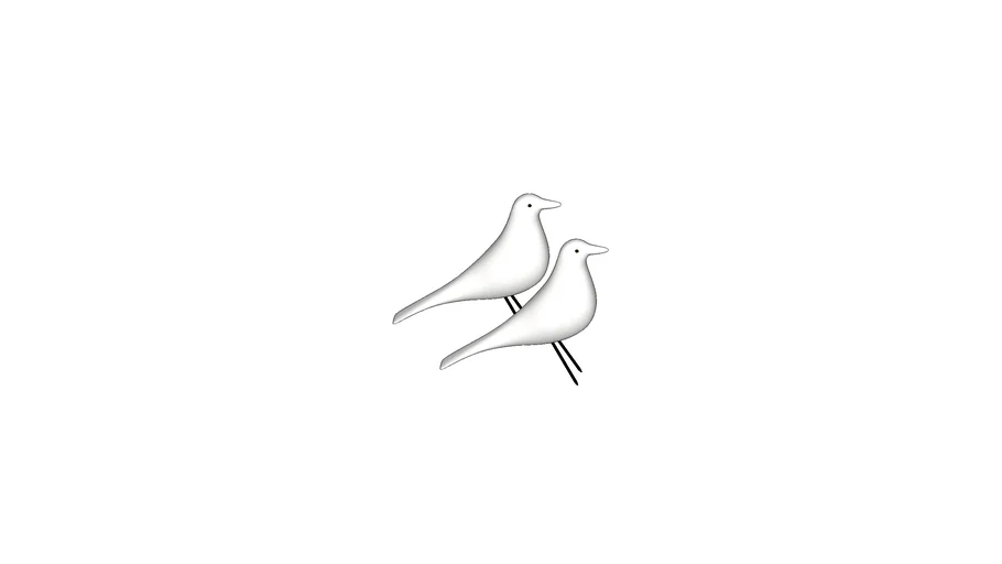 DECORAÇÃO - AVES