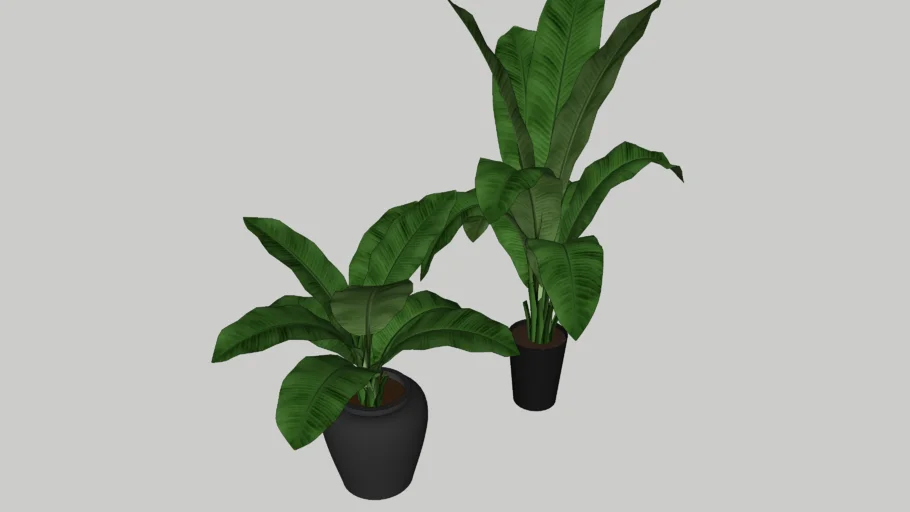 PLANTERS