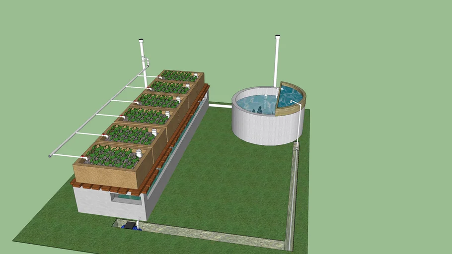 Backyard Aquaponics