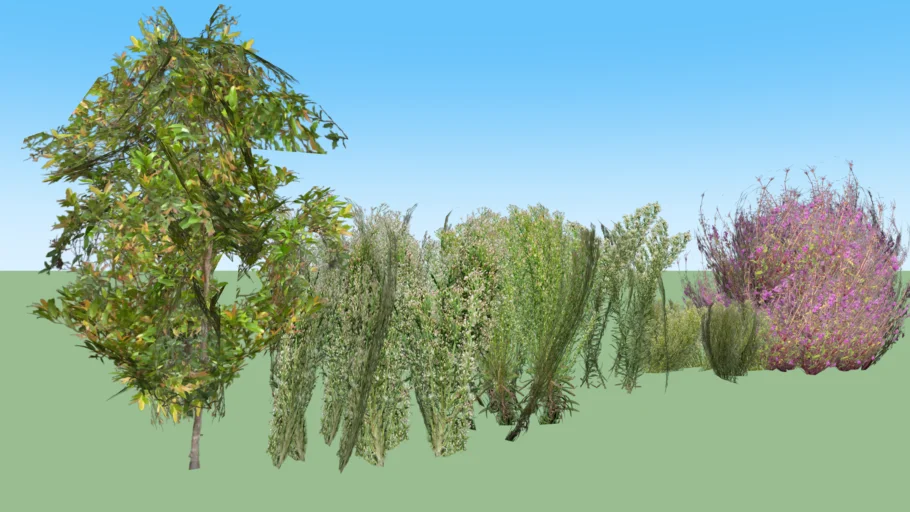 Wild weeds set