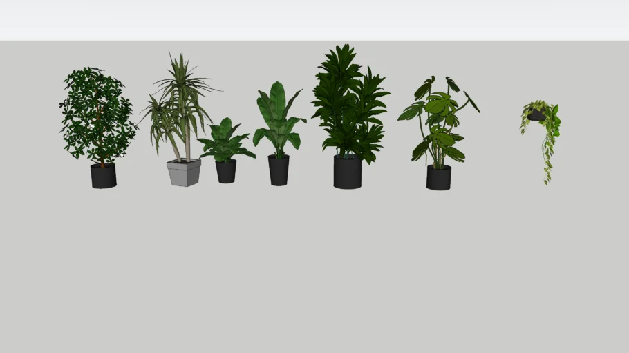 Plants indoor GHD