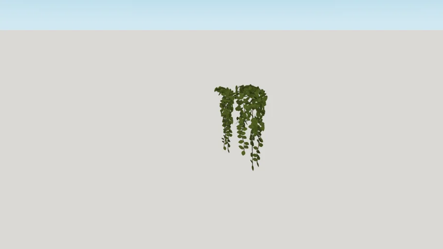 hanging plant .....