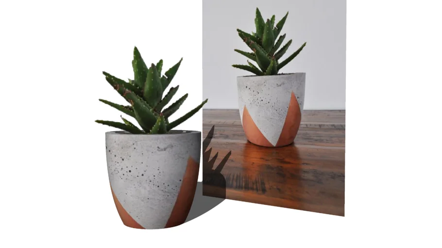 Vaso de Planta  2